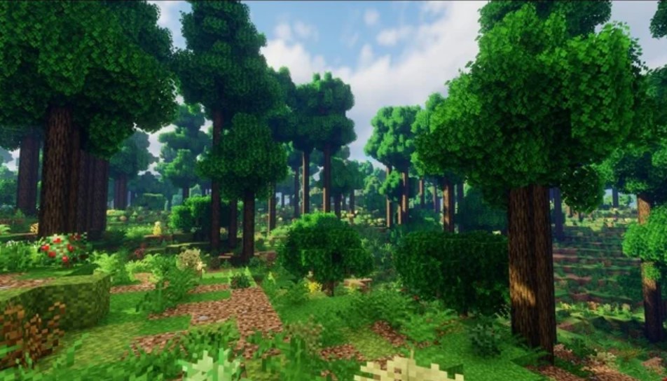 minecraft Forests